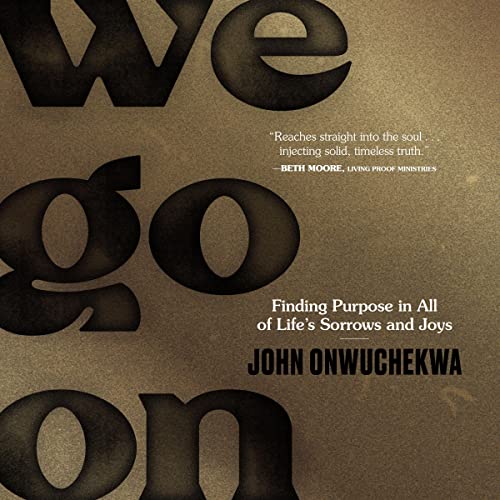 We Go On Audiobook By John Onwuchekwa cover art