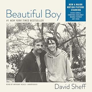 Beautiful Boy Audiobook By David Sheff cover art