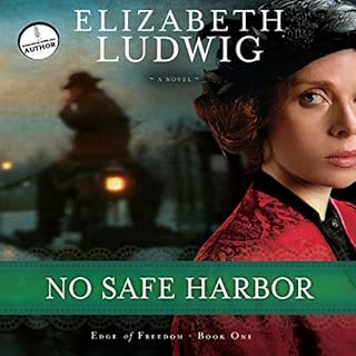 No Safe Harbor Audiobook By Elizabeth Ludwig cover art