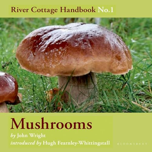 Mushrooms cover art