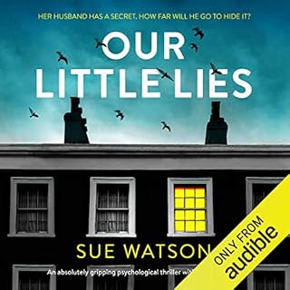 Our Little Lies Audiobook By Sue Watson cover art