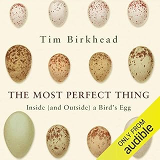 The Most Perfect Thing Audiobook By Tim Birkhead cover art