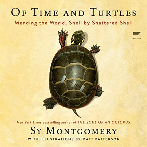 Of Time and Turtles Audiolibro Por Sy Montgomery arte de portada