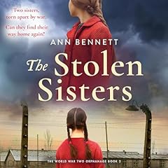 Couverture de The Stolen Sisters