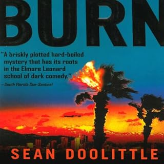 Burn Audiobook By Sean Doolittle cover art