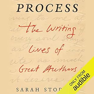 Process Audiobook By Sarah Stodola cover art