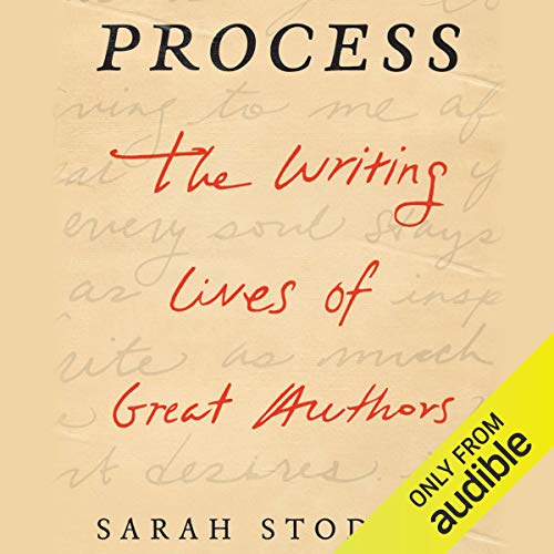 Process Audiobook By Sarah Stodola cover art