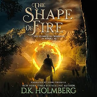 The Shape of Fire Audiolibro Por D.K. Holmberg arte de portada