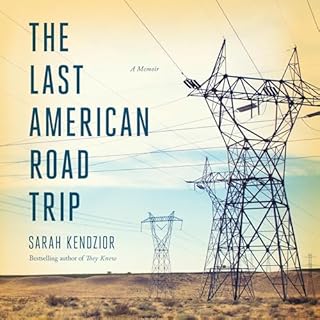 The Last American Road Trip Audiobook By Sarah Kendzior cover art