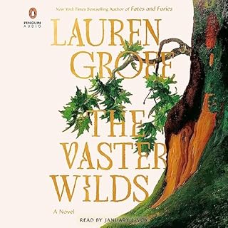 The Vaster Wilds Audiobook By Lauren Groff cover art