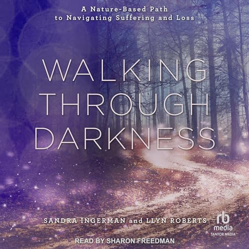 Walking Through Darkness Audiobook By Sandra Ingerman, Llyn Roberts cover art