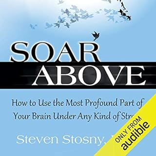 Soar Above Audiobook By Steven Stosny PhD cover art