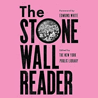 The Stonewall Reader Audiobook By New York Public Library, Edmund White cover art