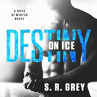 Destiny on Ice Audiolibro Por S. R. Grey arte de portada