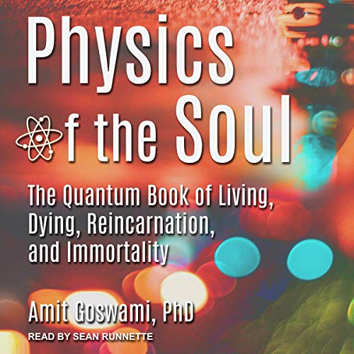 Physics of the Soul Audiolibro Por Amit Goswami arte de portada