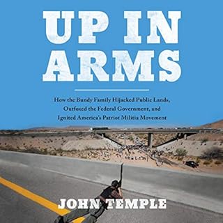 Up in Arms Audiobook By John Temple cover art