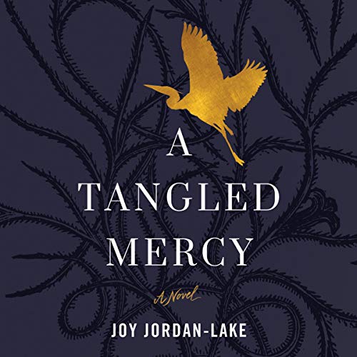 A Tangled Mercy Audiolibro Por Joy Jordan-Lake arte de portada