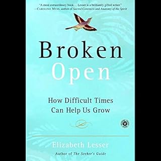 Broken Open Audiolibro Por Elizabeth Lesser arte de portada