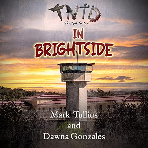 In Brightside: An Interactive Adventure Audiolibro Por Mark Tullius, Dawna Gonzales arte de portada