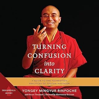 Turning Confusion into Clarity Audiobook By Yongey Mingyur Rinpoche, Helen Tworkov cover art