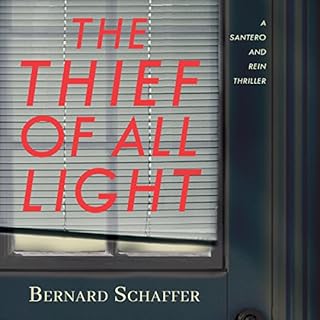 The Thief of All Light Audiobook By Bernard Schaffer cover art