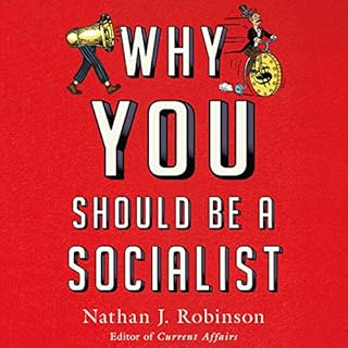 Why You Should Be a Socialist Audiolibro Por Nathan J. Robinson arte de portada