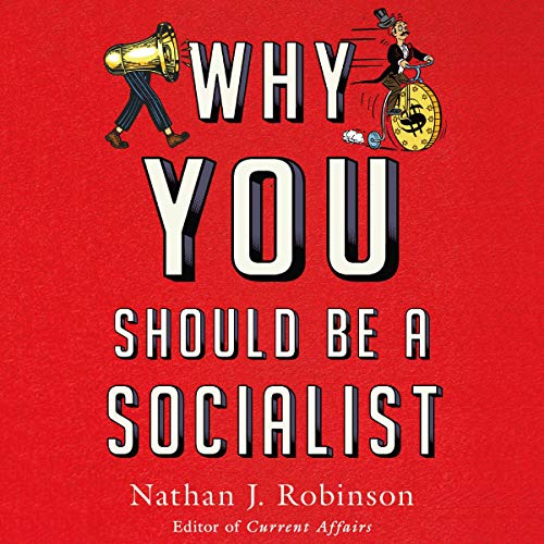 Why You Should Be a Socialist Audiobook By Nathan J. Robinson cover art