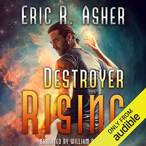 Destroyer Rising cover art