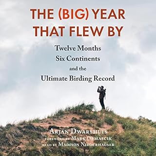 The (Big) Year That Flew By Audiobook By Arjan Dwarshuis, Mark Obmascik - foreword cover art