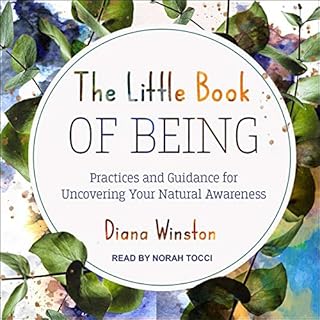 The Little Book of Being Audiobook By Diana Winston cover art