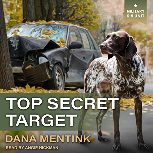 Top Secret Target Audiolibro Por Dana Mentink arte de portada