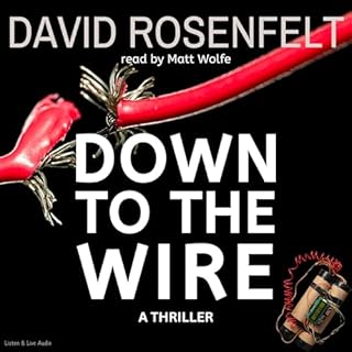 Down to the Wire Audiolibro Por David Rosenfelt arte de portada