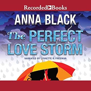 The Perfect Love Storm Audiolibro Por Anna Black arte de portada