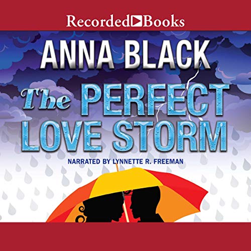 The Perfect Love Storm Audiobook By Anna Black cover art