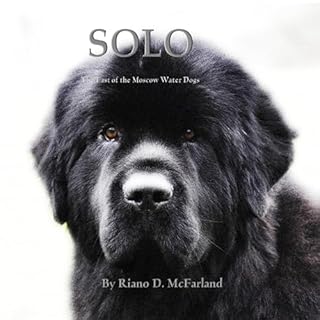 Solo Audiobook By Riano D. McFarland cover art