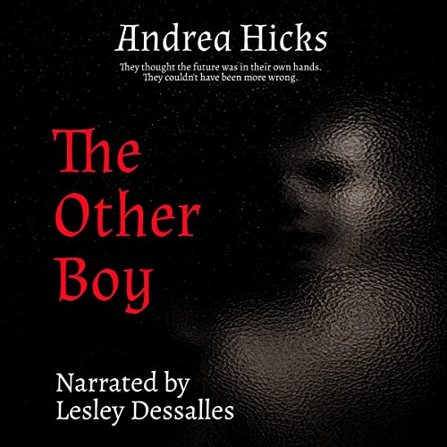 The Other Boy Audiolibro Por Andrea Hicks arte de portada