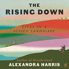 The Rising Down cover art