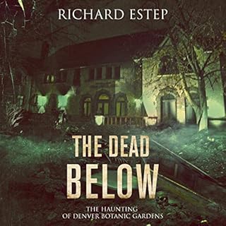 The Dead Below Audiobook By Richard Estep cover art