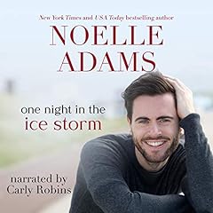 One Night in the Ice Storm cover art