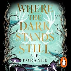 Where the Dark Stands Still cover art