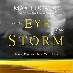 In the Eye of the Storm cover art