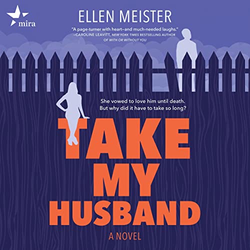 Take My Husband Audiobook By Ellen Meister cover art