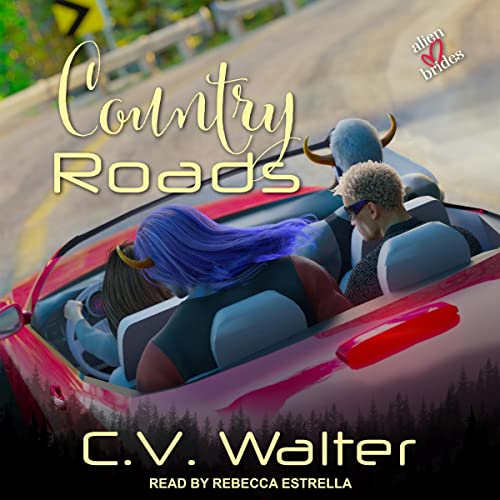 Country Roads Audiobook By C.V. Walter cover art