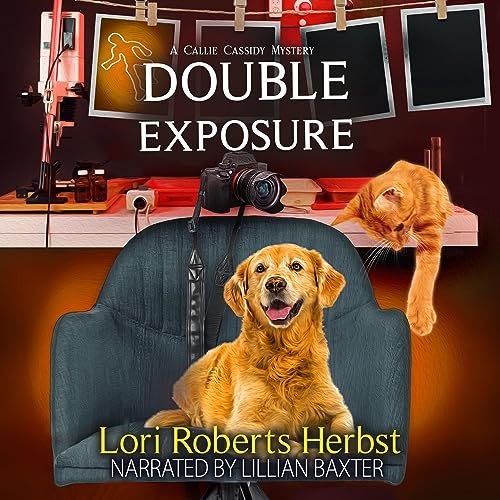 Double Exposure Audiolibro Por Lori Roberts Herbst arte de portada