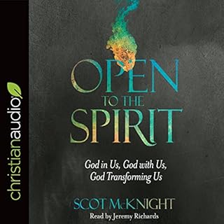 Open to the Spirit Audiolibro Por Scot McKnight arte de portada