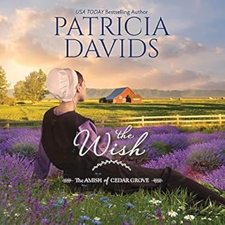 The Wish Audiobook By Patricia Davids cover art