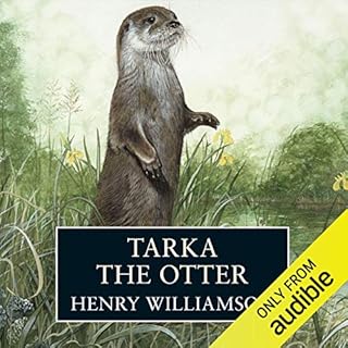 Tarka the Otter cover art