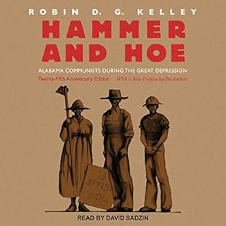 Hammer and Hoe Audiolibro Por Robin D. G. Kelley arte de portada