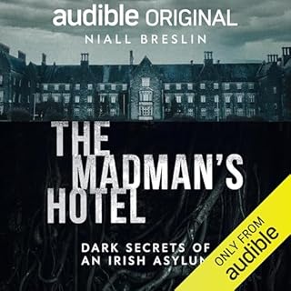 The Madman's Hotel Audiobook By Niall Breslin cover art