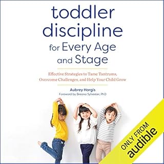 Toddler Discipline for Every Age and Stage Audiobook By Aubrey Hargis cover art